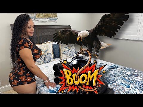 2023 Gun Collection 🦅Desert Eagles🦅