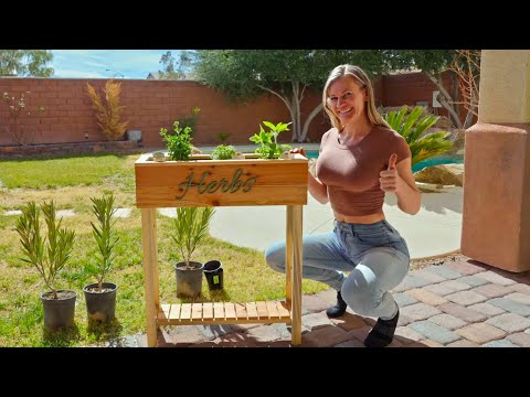 Affordable Garden Planter you haven’t seen before!