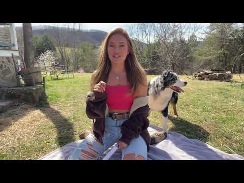 Answering your Burning 🔥 Questions: Life Update