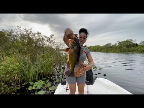 Bass Fishing Catch Clean & Cook