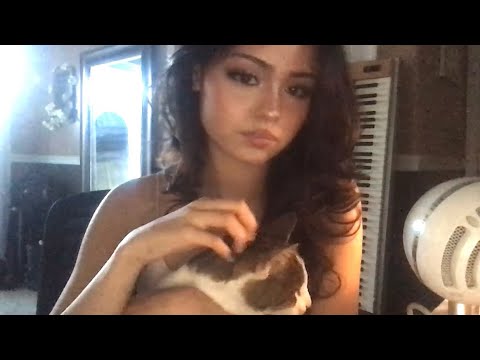 Cat ASMR