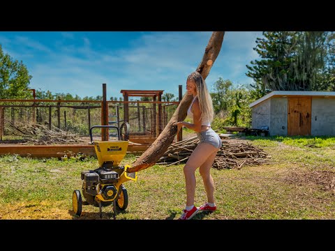 Champion Woodchipper 🪵🪓 built a garden