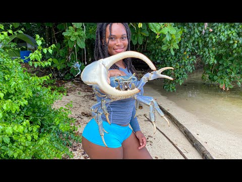 CRAB HUNTING IN JAMAICA – Outdoor Cooking