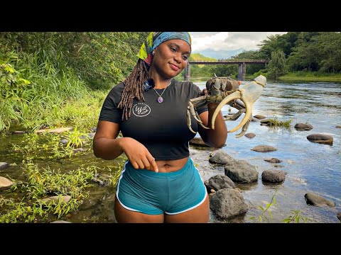 CRAB SEASON IN JAMAICA