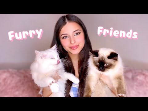 ༺♡ FURRY FRIEND TAG: meet Dinah and Marie ♡༻　𐐪 Holly Cerise 𐑂