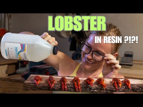 Encase Baby Lobster in RESIN ?!?