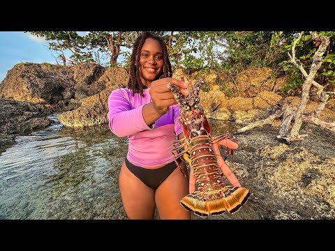 EXPLORING FOR SEA CREATURES – Seafood Catch & Cook