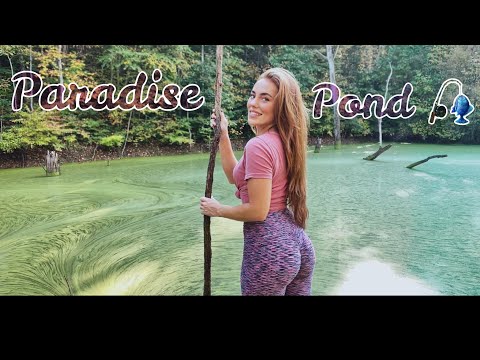 FISHING PARADISE POND – CATCHING BASS ON A WOODEN RAFT