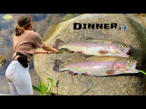 Fishing the River for Trout – 6 AM in the RAIN! (Catch, Clean + Cook)