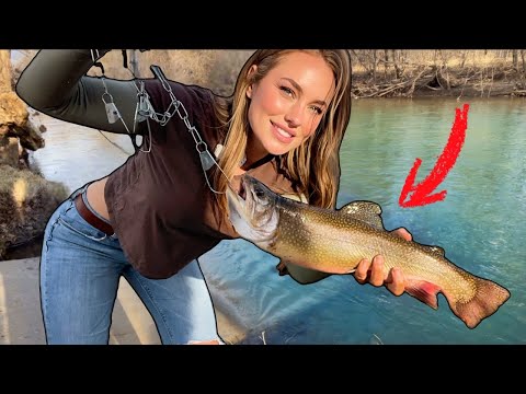Fishing the River for Trout • RAINBOW + BROOK (Catch, Clean + Cook)