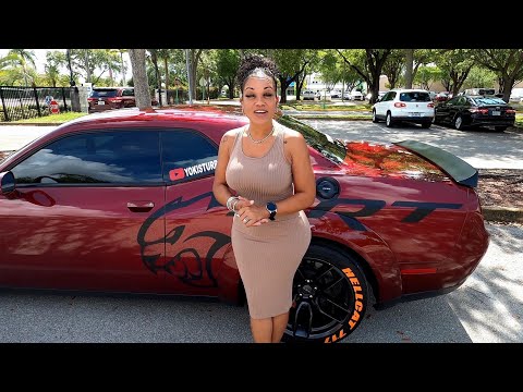 Florida State Fair Grounds Gun Show Tampa FL