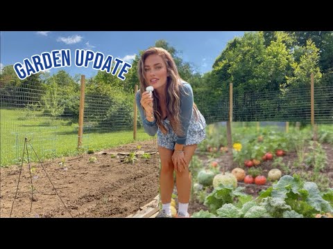 Garden Update – Building the Gate, Planting, + Farm Life