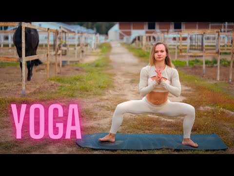 Harmony Unleashed: Stretching Yoga with Majestic Horses in True 8K