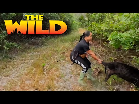 HOG 🐗  Hunting is NOT for COWARDS!!!!