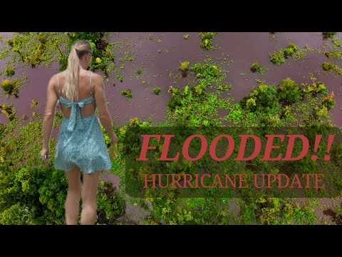 Hurricane Debby Damaged my workshop