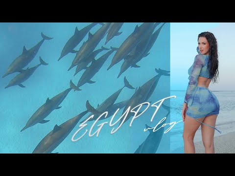 I survived swimming with SHARKS and DOLPHINS || Excinderella vlog