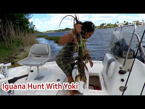 Iguana Hunt on Lake Ida with Yoki