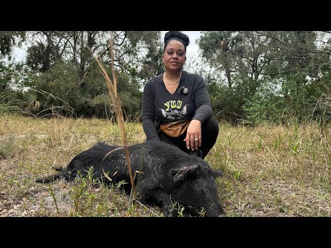 I'M BACK!!!!!!! Florida WILD HOG HUNT 🐗