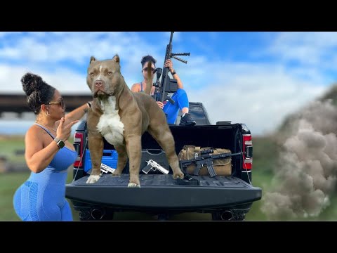 INSANE .50 CAL's Range DAY | 500SW, 50AE, 50BEO, 50BMG