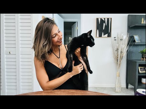 LittleFitDevil is LIVE!