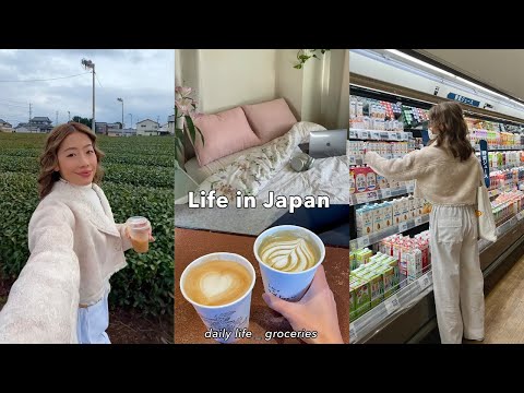 LIVING IN JAPAN | daily groceries w/prices, life in japan countryside, a night in shibuya!