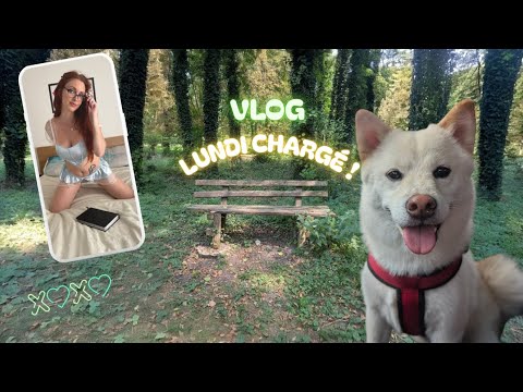 Ma journée de FOLIE 😱 : je crée du contenu, je sors mon chien et… gros petit-déj surprise !