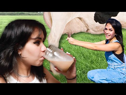 Making Chocolate Milk From SCRATCH