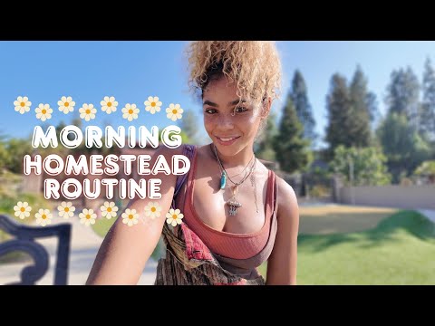My Morning Routine | Beekeeping, Chickens, & Gardening!