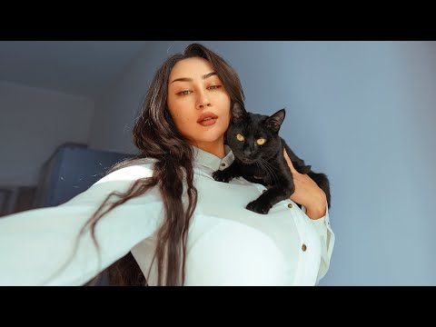 NEW UPDATES from UKRAINE. Day 17