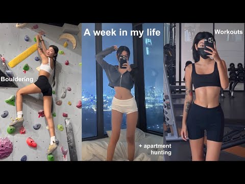 New workout routines, climbing + apartment hunting 💕 VLOG