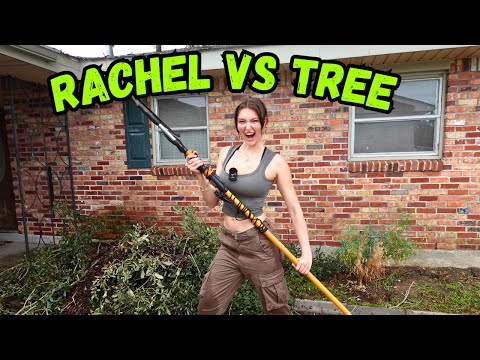 Rachel Pizzolato Trims a Tree
