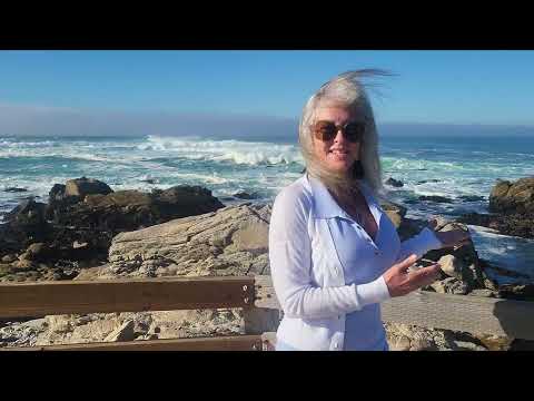 San Francisco to Monterey 🚗✨California Coast Road Trip Days 1 & 2