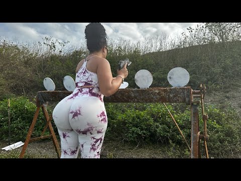 Sig 229 Pro Cut 3.9 The Modern Upgrade to The Popular Classic