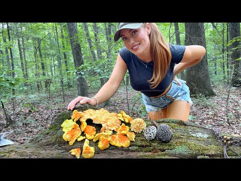 SOLO in the Mountains: Wild Mushroom Foraging + Cooking edibles 🧑🏼‍🍳 SO many mushrooms!