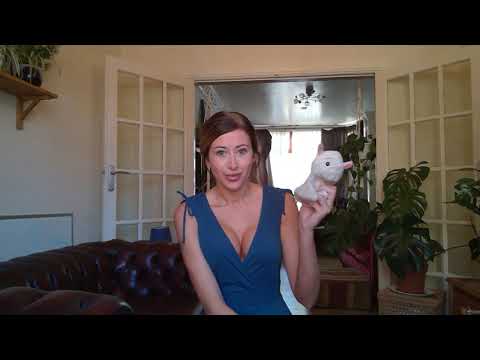 SPORTSWEAR TRY ON HAUL HALARA