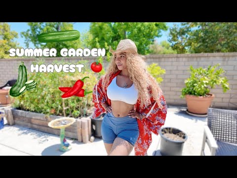 Summer Garden Harvest | Tomatoes, Zucchini, & Peppers. OH MY!