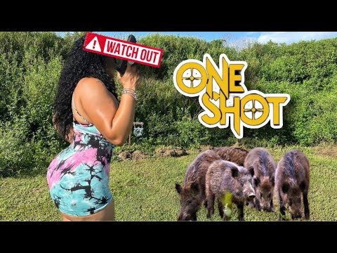 The HANDGUN  I Took A Hog Down With One Shot🔫