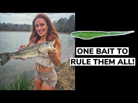 the things i do to catch a fish .. 🤗FAIL OR FISH?!