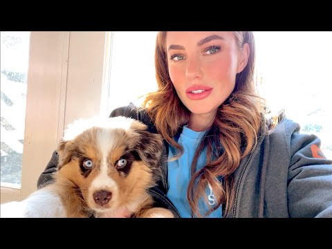 The Wolf Pack is Growing .. Pupdate + other things, Vlog