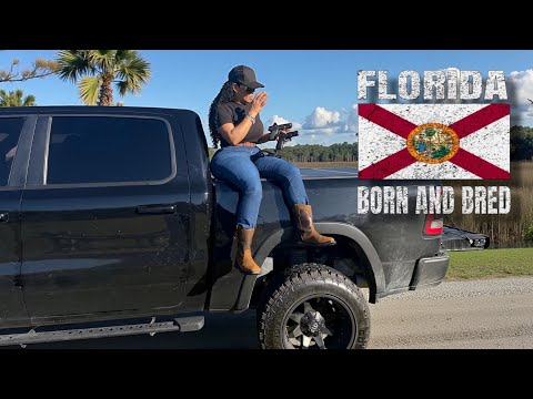 This $500 Comp Pistol Humbling the Big Dogs?! CZ & S&W Nervous…