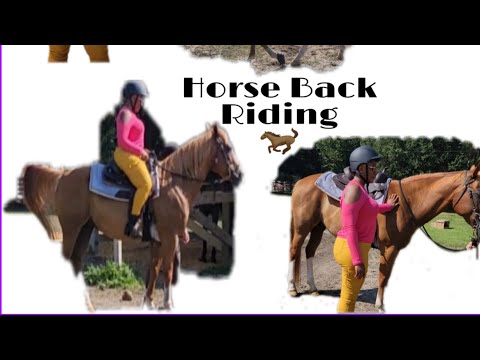 Vacation in Savannah GA 🐎 Vlog#1 #vacation #fun #vlog #firsttime #horseback #Georgiasavannah #travel