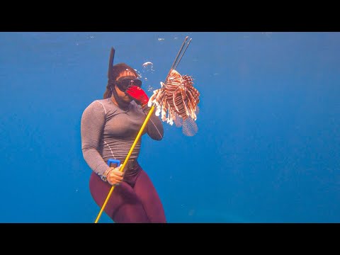 VENOMOUS LIONFISH CATCHING