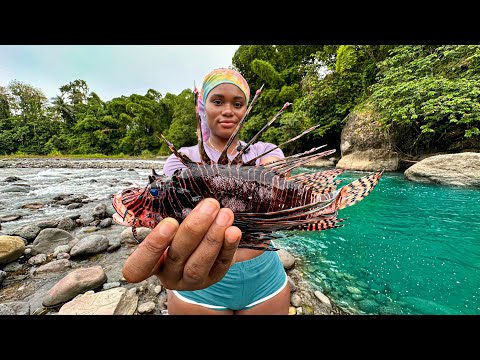 VENOMOUS LIONFISH HUNT CATCH AND COOK