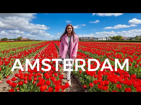 Víkend v Amsterdamu, tulipánová pole, co je to "red light district"? | Týnuš Třešničková