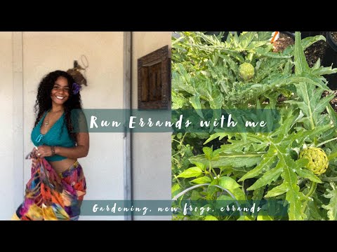 Weekly Vlog : errands, plants, and new frogs!