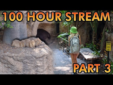 100 Hour Stream | Day 2 (PT 3)