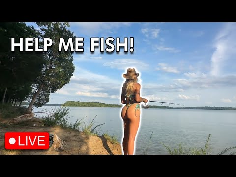 Afternoon Fishing | VOD