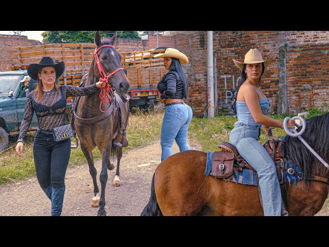 Amazing Rodeo in Colombia 😍 The Most Beautiful Cowgirls Riding 🐴