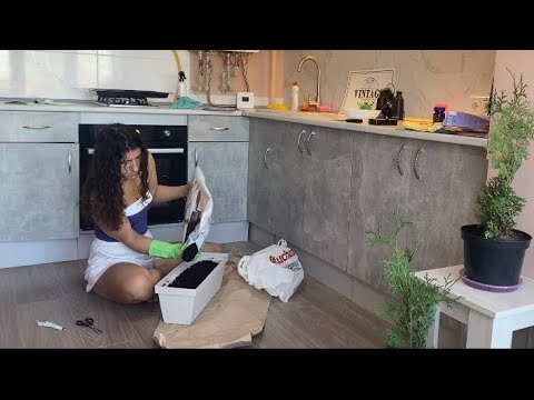 ASMR Gardening: Bringing Green Life to My Apartment | Soothing Sounds | Calming Planting