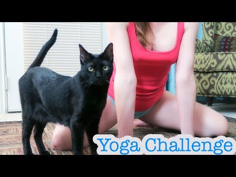At Home Yoga Poses Challenge